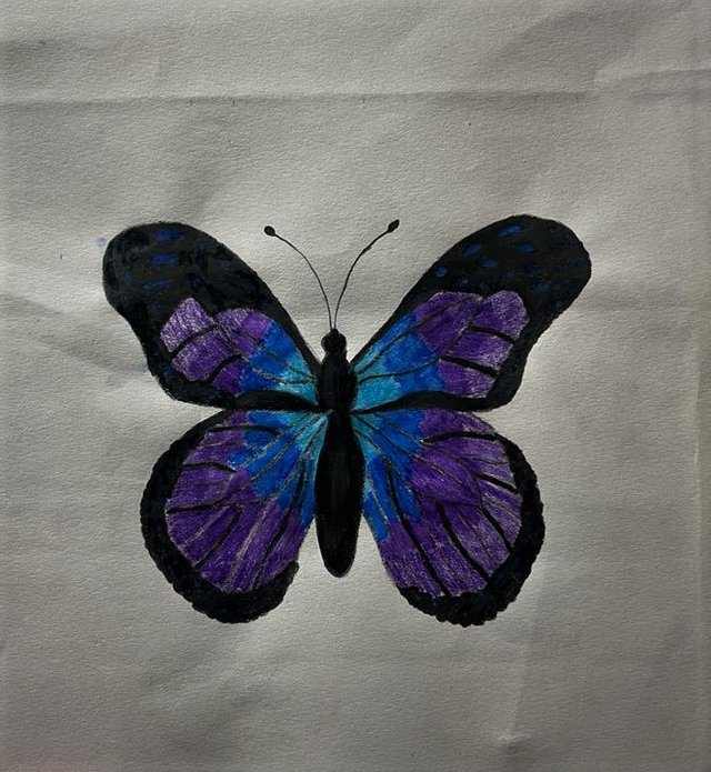 WhatsApp Image 2023-10-21 at 21.52.05_619a0cc9 (2).jpg