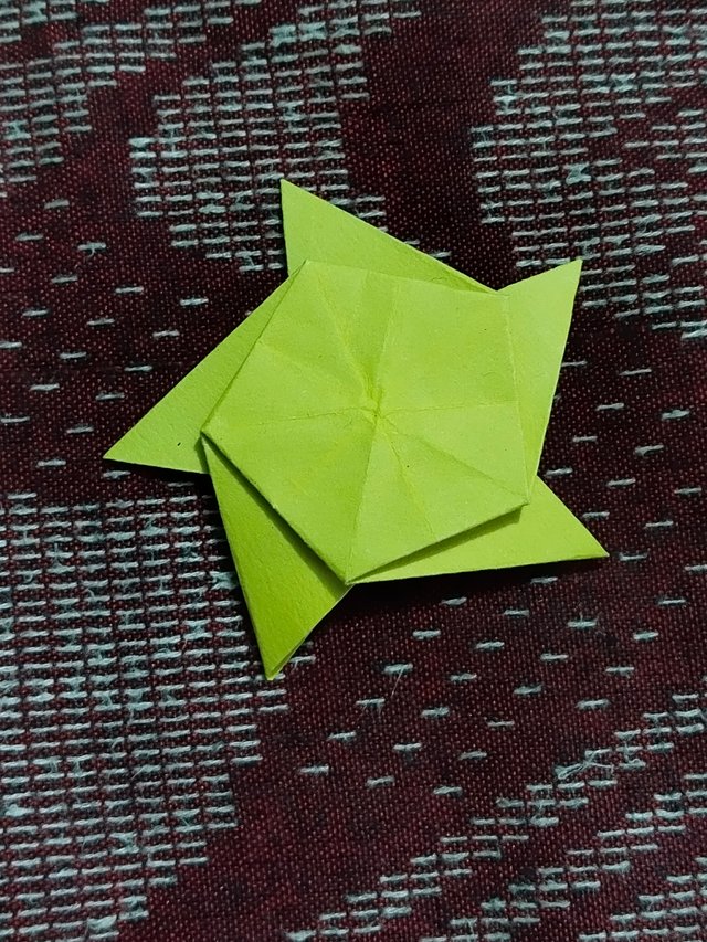 1000014482.jpg