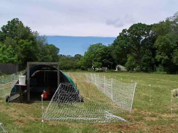 Pasture coop ready1 crop June 2019.jpg