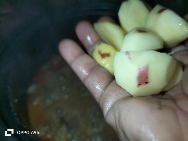 IMG20250309105327.jpg
