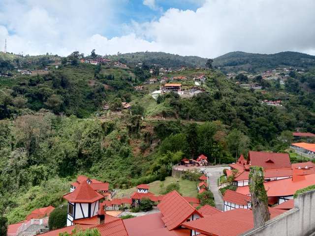 IMG_20250517_115652_696.jpg