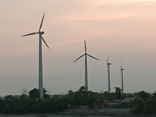 1000021837.jpg