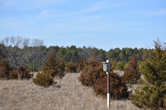 DSC_0558.JPG
