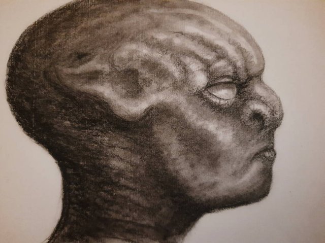 20250712_112506.jpg