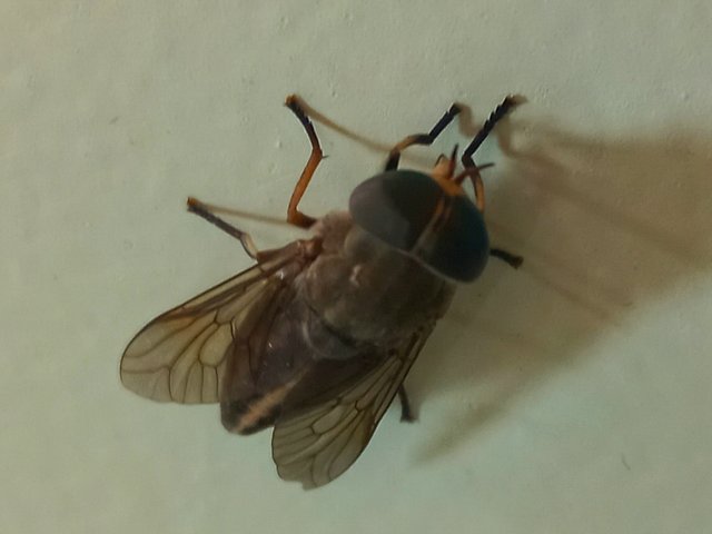 20241017_152735.jpg