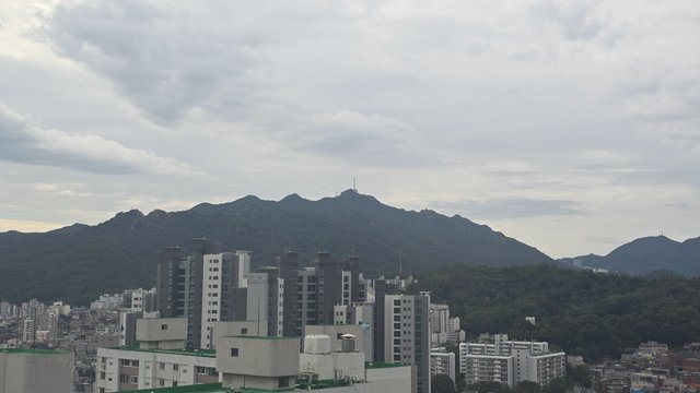 1000141543.jpg