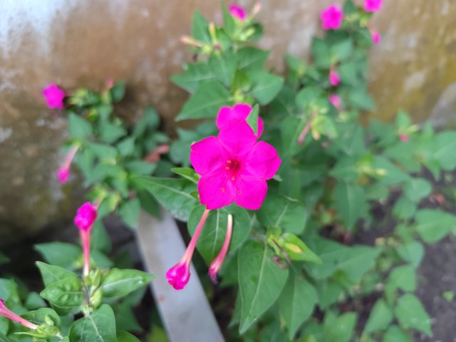 IMG_20250715_181839.jpg