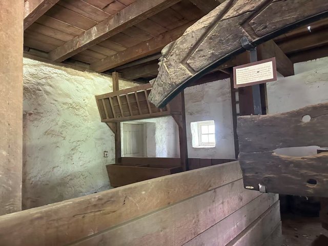 WechatIMG1752.jpg