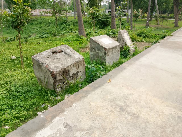 1000038271.jpg
