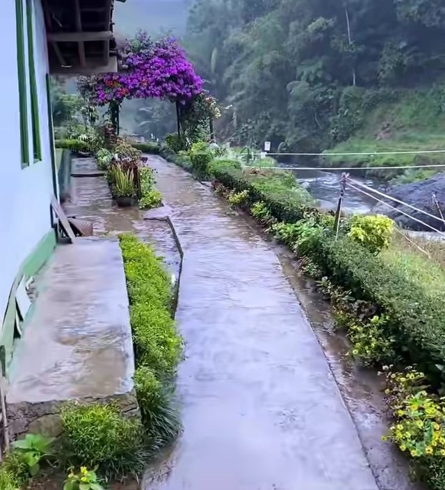 1759452738301.jpg