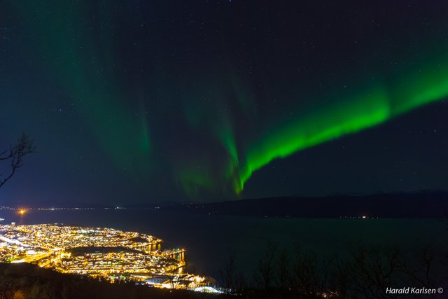 Nordlys Narvik-3.jpg