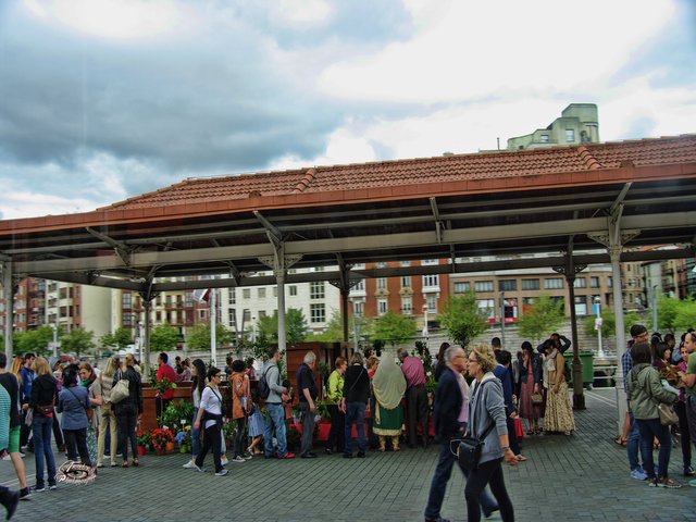 IMGP8164.jpg