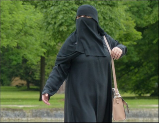 disguise niqab.jpg