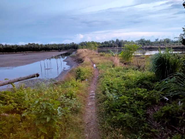 IMG20250803061637.jpg