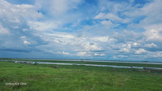 20250528_150706.jpg