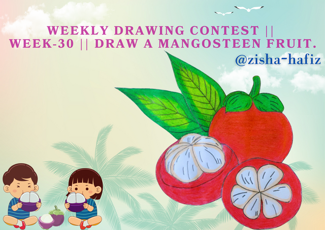 Weekly Drawing Contest  Week-30  Draw a Mangosteen Fruit. @zisha-hafiz.png