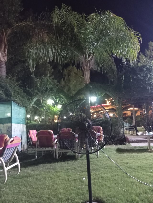 IMG_20250526_214825.jpg