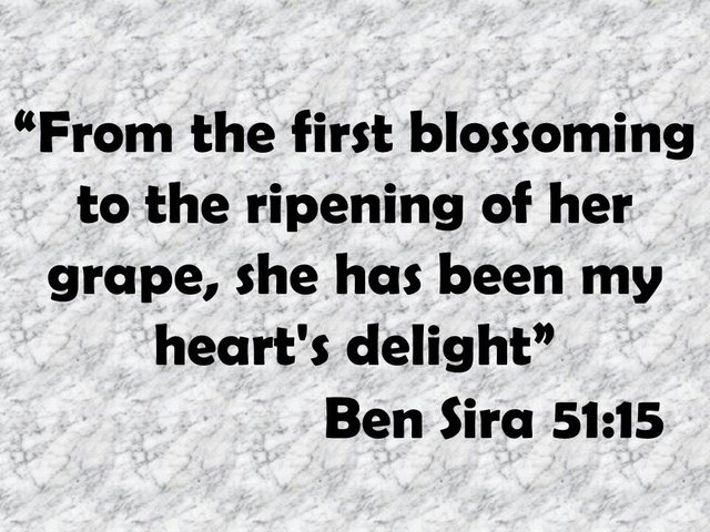 Gnosis and the maturity of wisdom. From the first blossoming to the ripening of her grape, she has been my heart's delight. Ben Sira 51,15.jpg