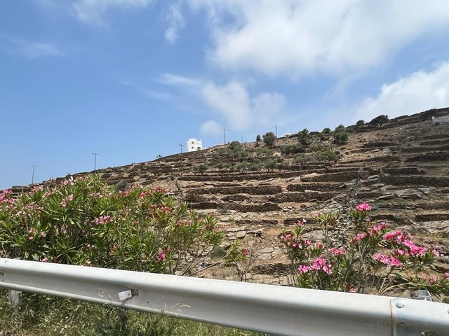 QIQJ4992.JPG