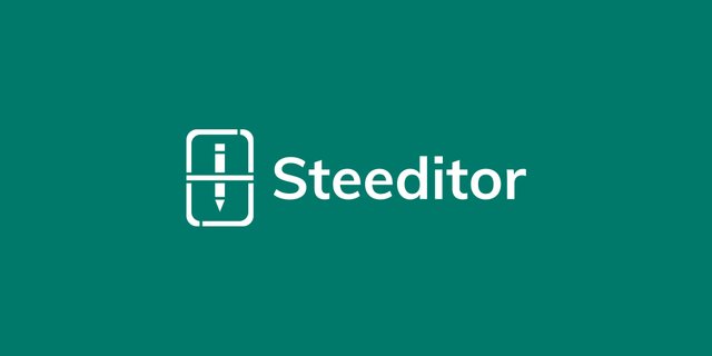 LOGO DESIGN_steeditor_THUMBNAIL.jpg