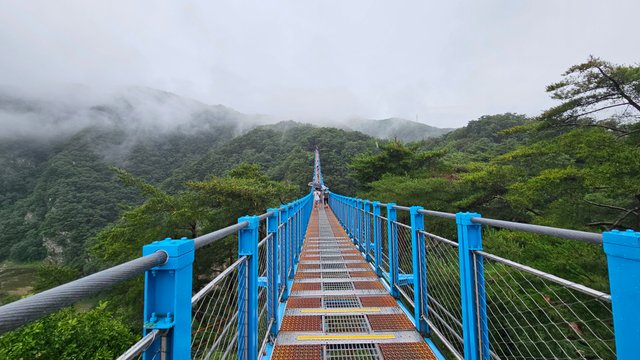 20250715_121446.jpg