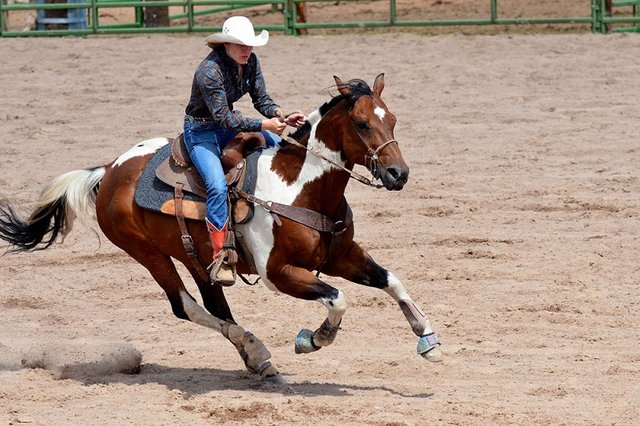 barrel-gallop_1000-1.jpg