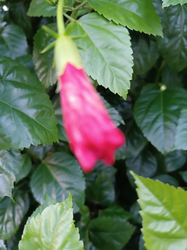 IMG_20250627_183213.jpg
