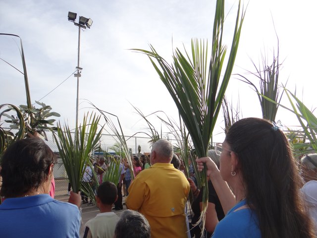 DSC02248.JPG
