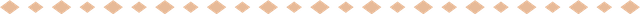 Horizontal Rhomb Big Small Orange Divider.png