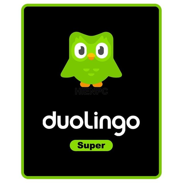 nang-cap-super-duolingo-gia-re.jpg