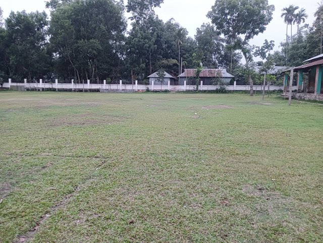 IMG20250519182539.jpg