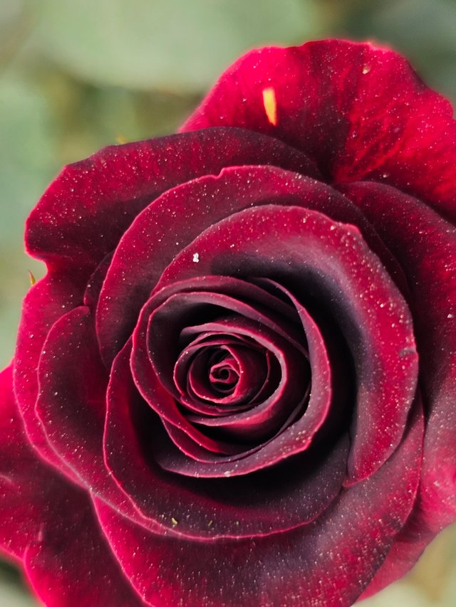 20250130_141820.jpg