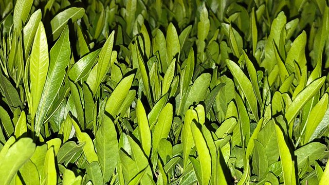 20250125_023322.jpg