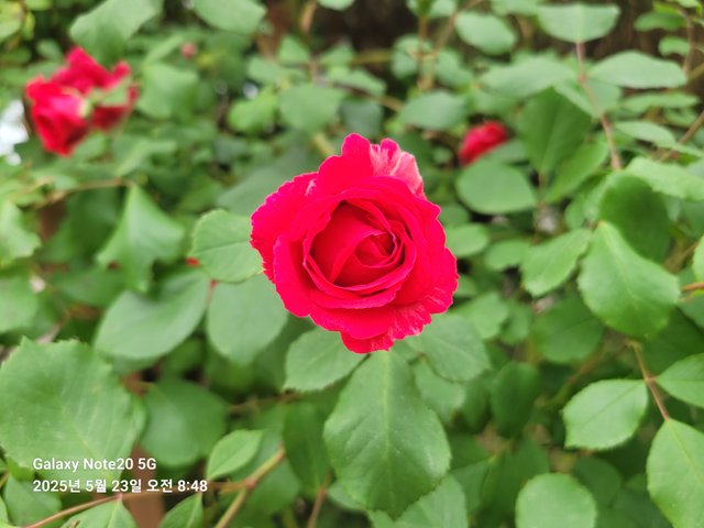 1000398176.jpg