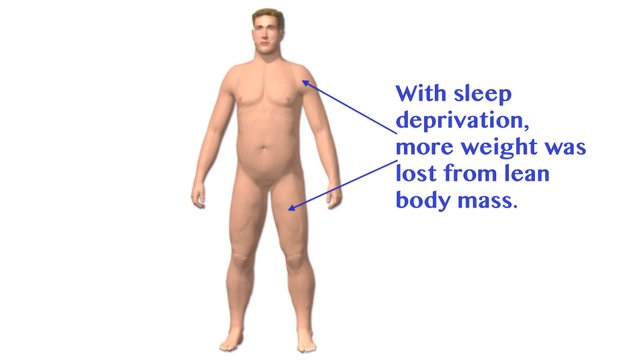 Sleep deprivation lean body mass lost.jpg