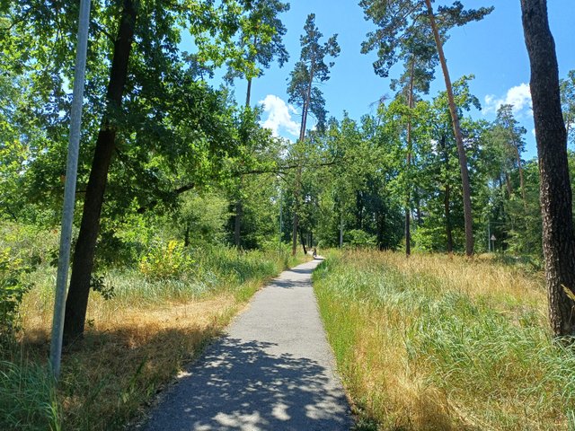 20250712_115723.jpg