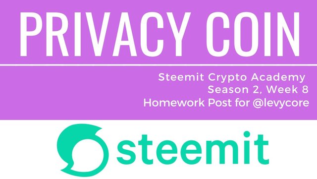 Privacy coin cover.jpg