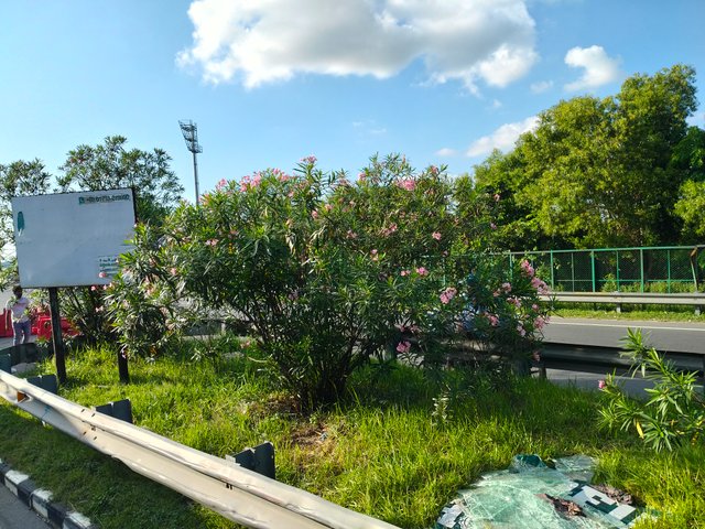 IMG20250905164449.jpg