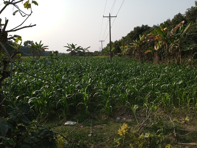 IMG_20241226_150321_594.jpg