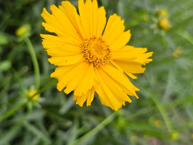 20250404_092839.jpg