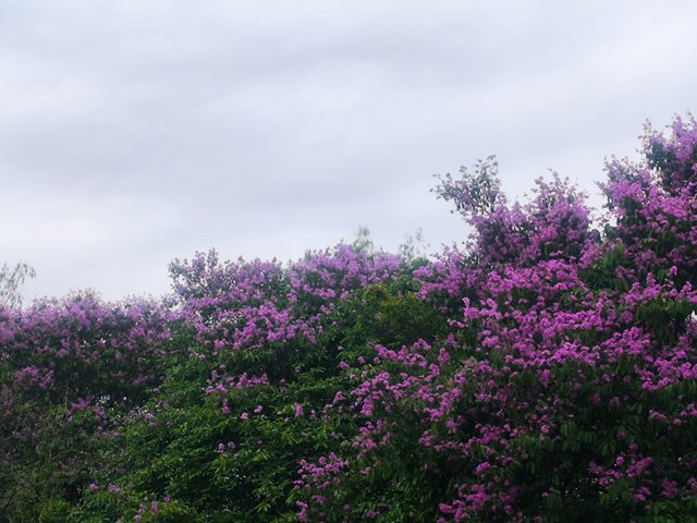 IMG_20250516_163023.jpg