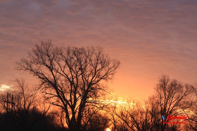 morning dawn sunrise golden-hour skyscape landscape IMG_0452.JPG