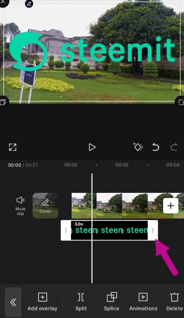 1000108396.jpg