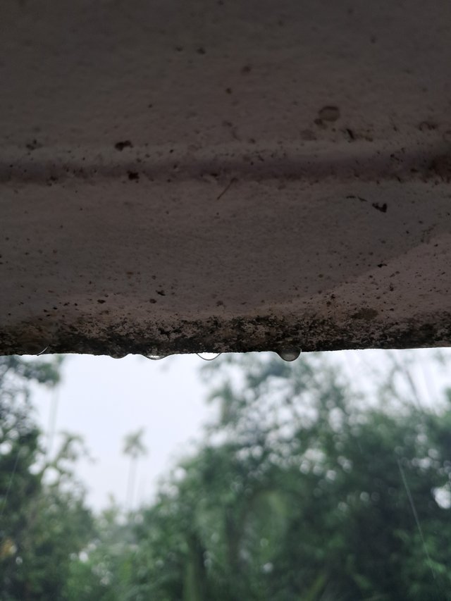 20250419_114121.jpg