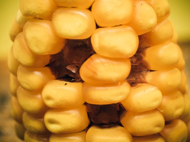 corns-1.jpg