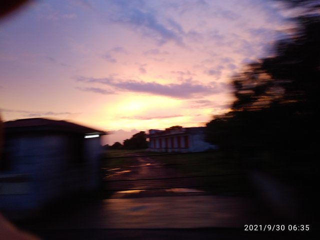 IMG_20210930_063552_1.jpg