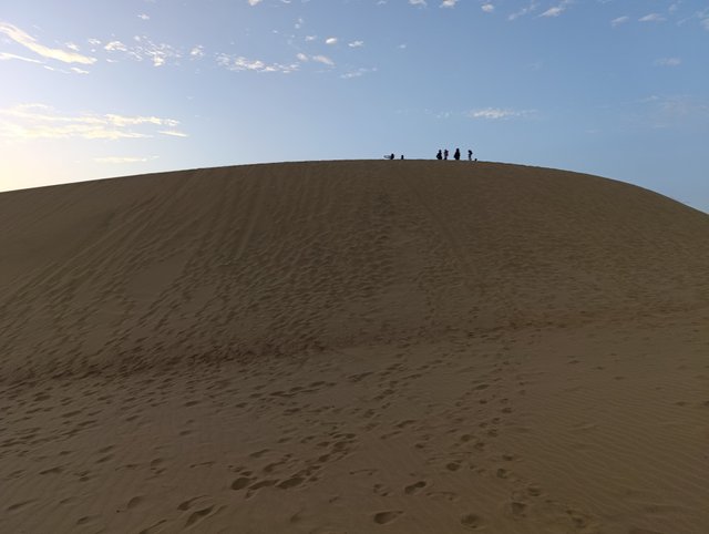 1001157043.jpg