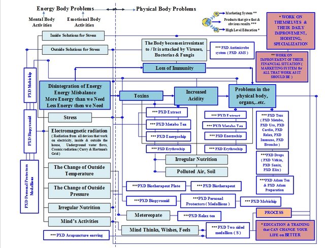 SCHEDULE OF PROCESSES IN THE BODY & HEALTH SOLUTIONS.jpg