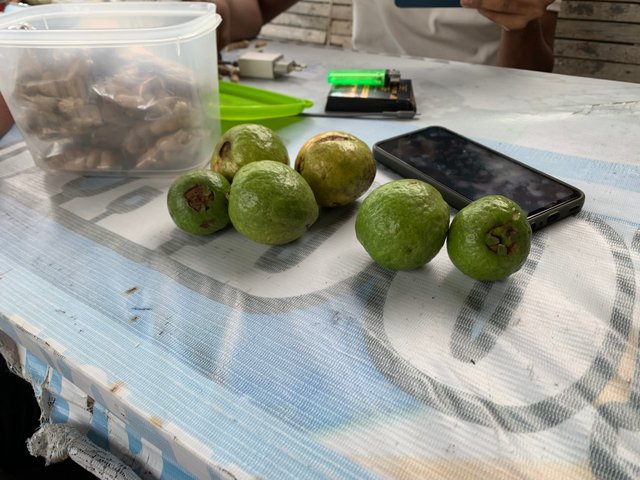 IMG_9908.jpeg