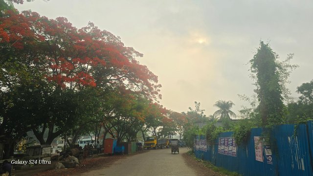 20250515_071814.jpg